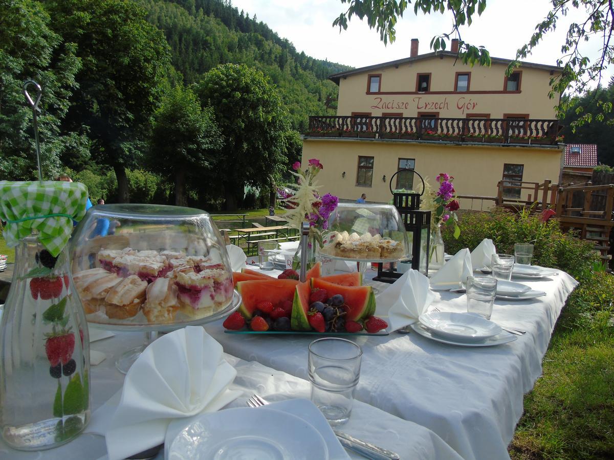 Zacisze Trzech Gór Jedlina-Zdroj Exterior foto
