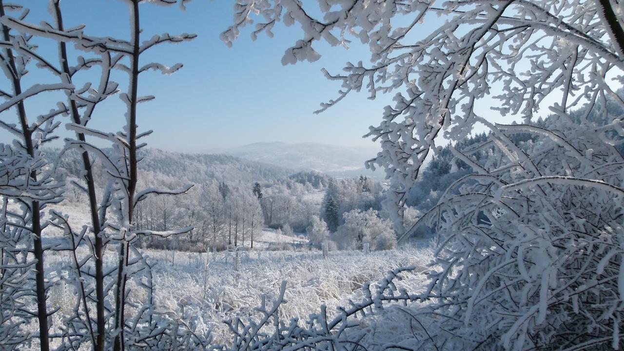 Zacisze Trzech Gór Jedlina-Zdroj Exterior foto