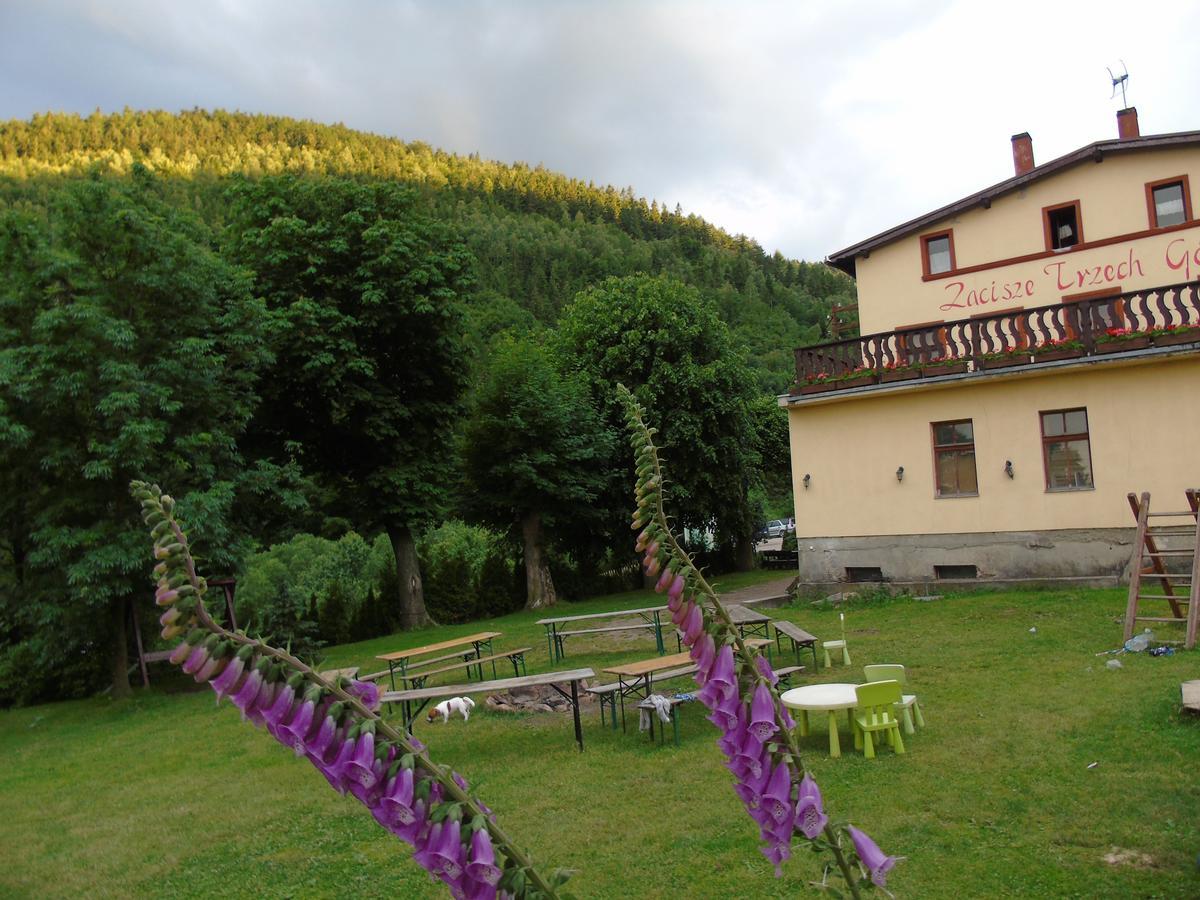 Zacisze Trzech Gór Jedlina-Zdroj Exterior foto