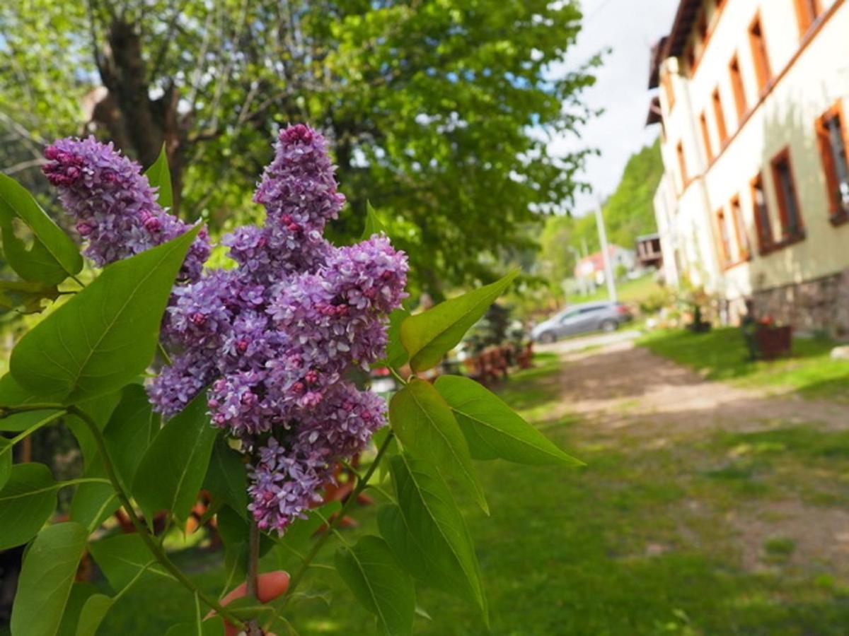 Zacisze Trzech Gór Jedlina-Zdroj Exterior foto